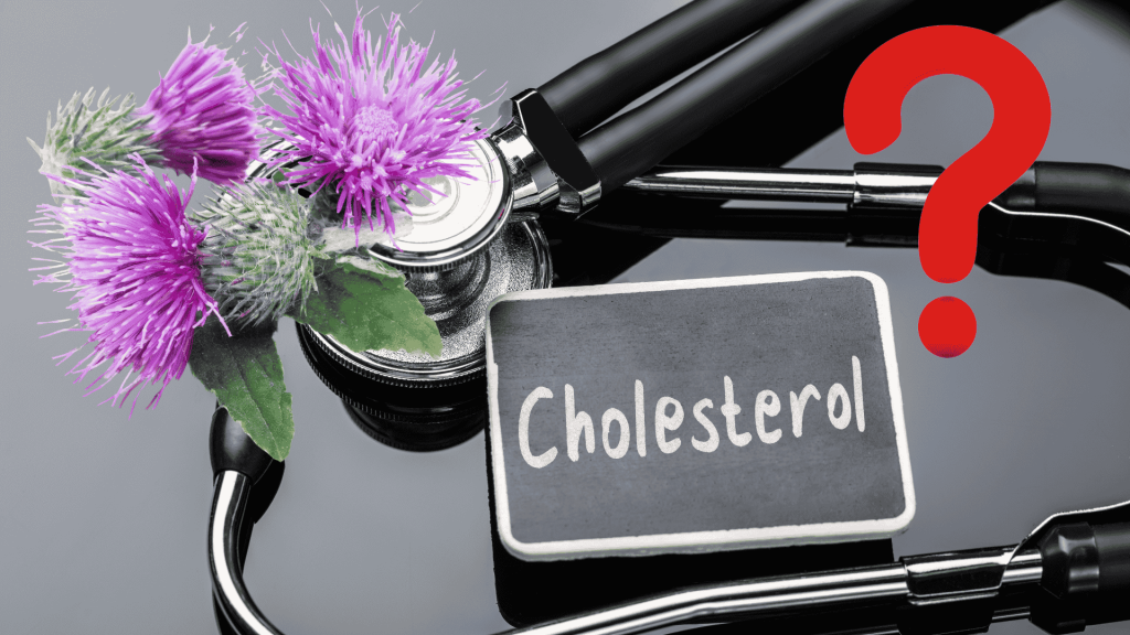 Ostropest a cholesterol – czy olej działa? Dawkowanie i efekty